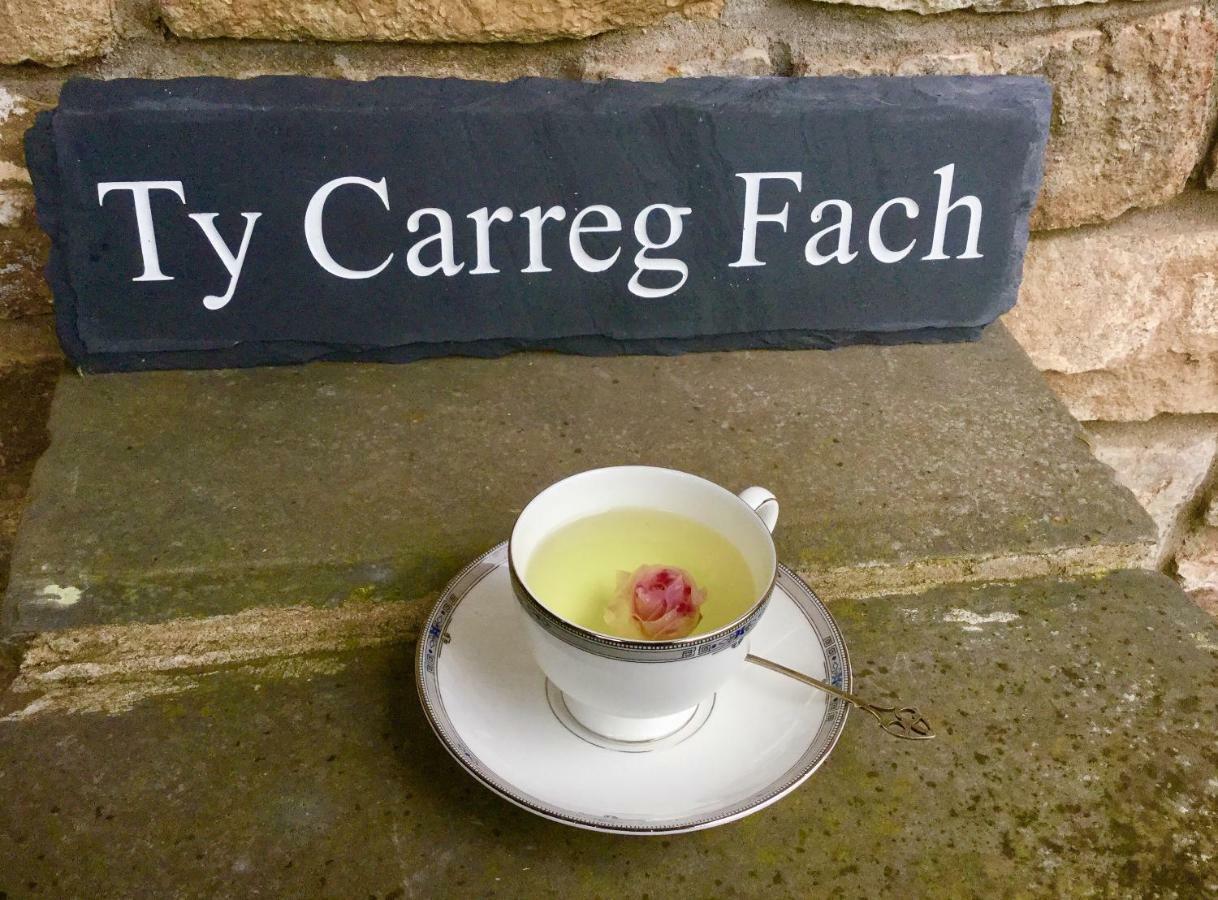 Ty Carreg Fach Staycation Cottage カーディフ エクステリア 写真