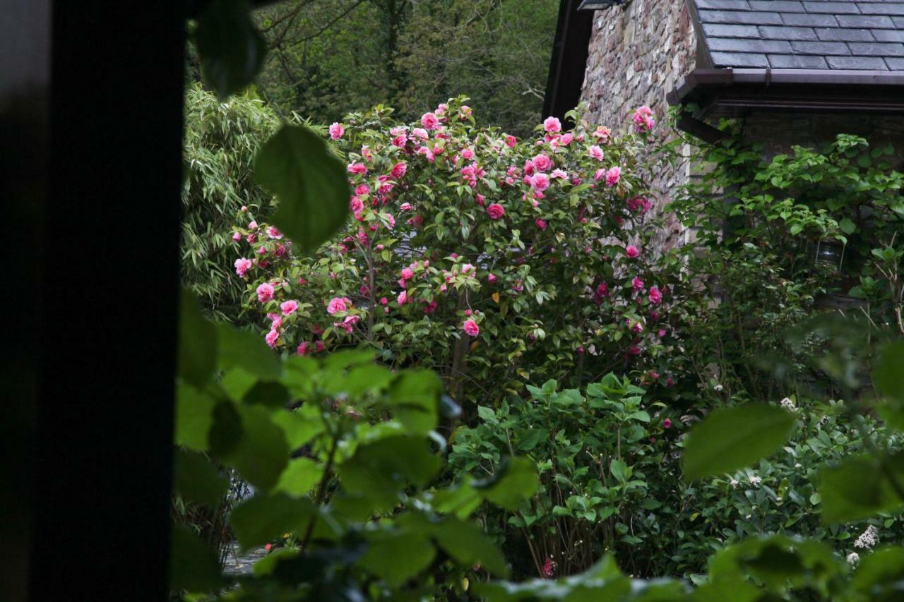 Ty Carreg Fach Staycation Cottage カーディフ エクステリア 写真